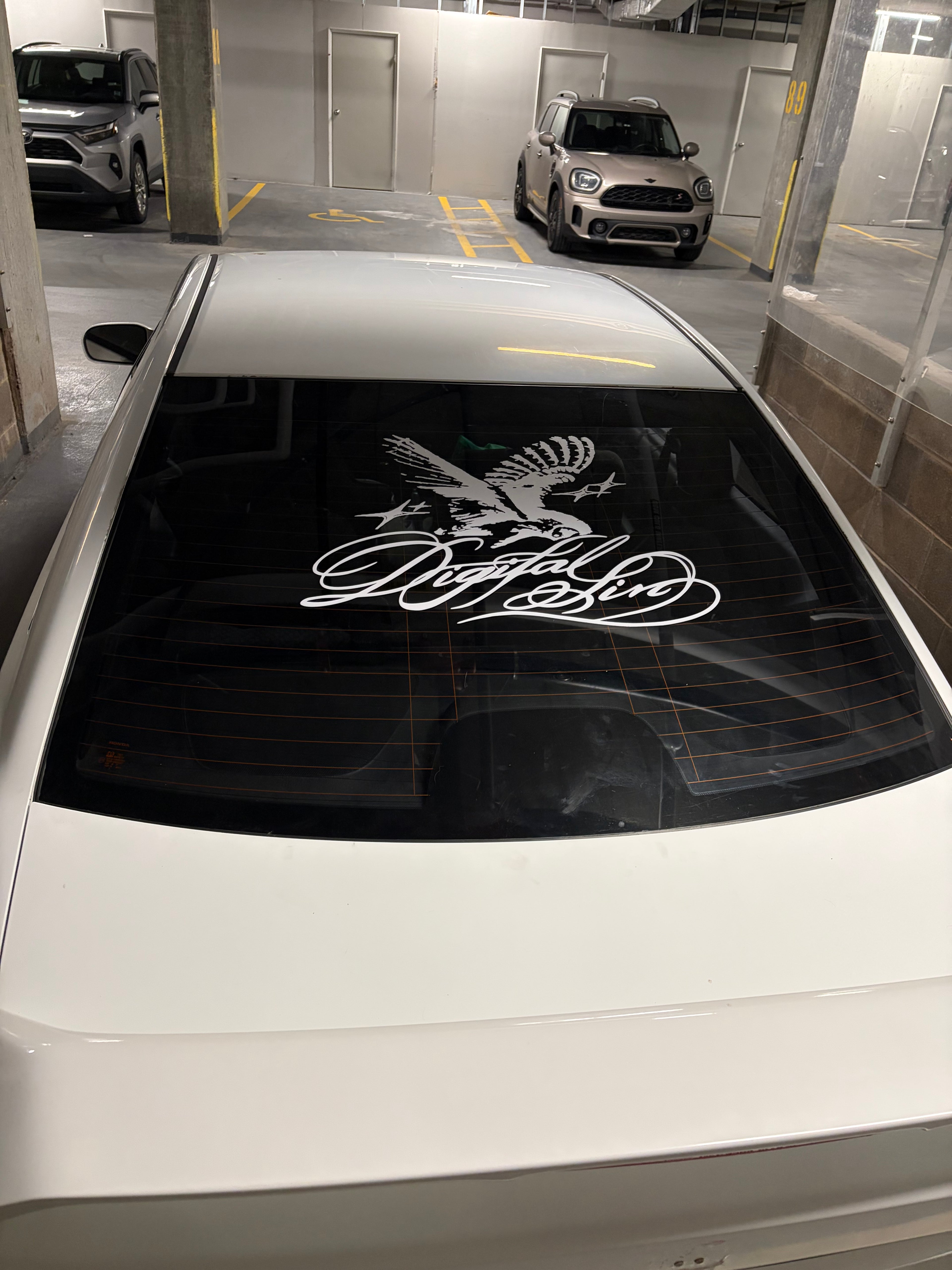 Owl back banner